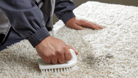 Professional Rug Cleaning Fitzroy